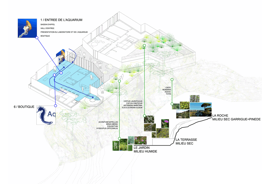 ground floor organisation scheme BANYULS