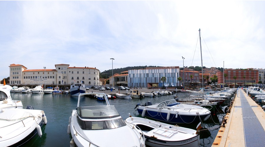 from the port BANYULS