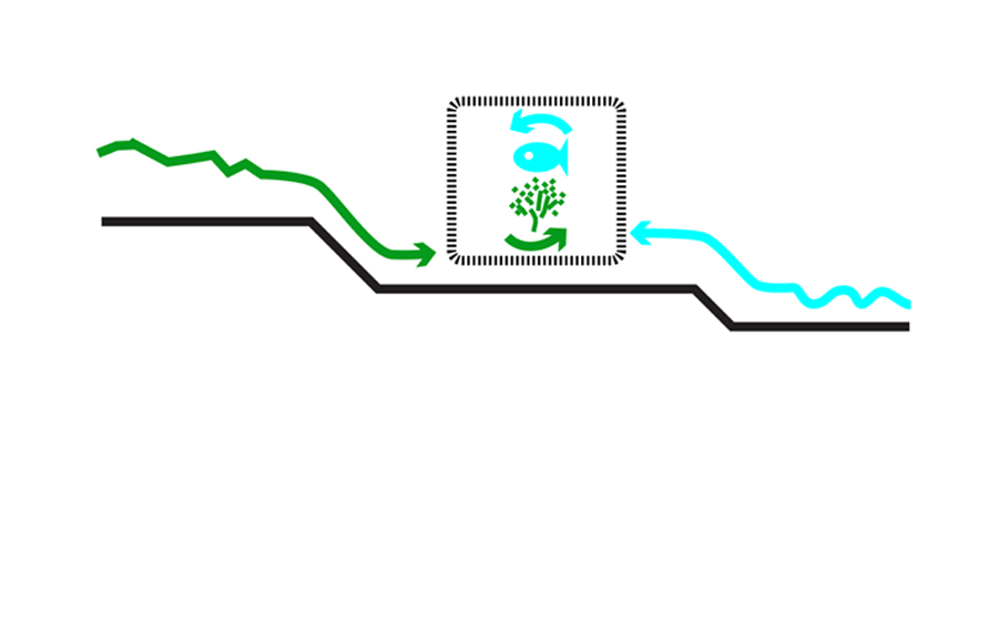 concept scheme BANYULS